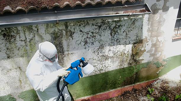 Trusted Commercial Mold Remediation service in Fort Eustis, VA - Cheap Mold Removal